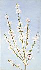 John William Hill Peach Blossoms painting